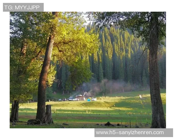 朗斯对布洛涅精彩直播全程回顾及赛后分析尽在这里 朗斯对布洛涅精彩直播全程回顾及赛后分析尽在这里